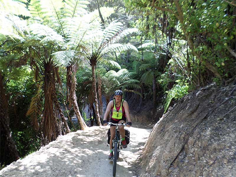 cycling in the bush